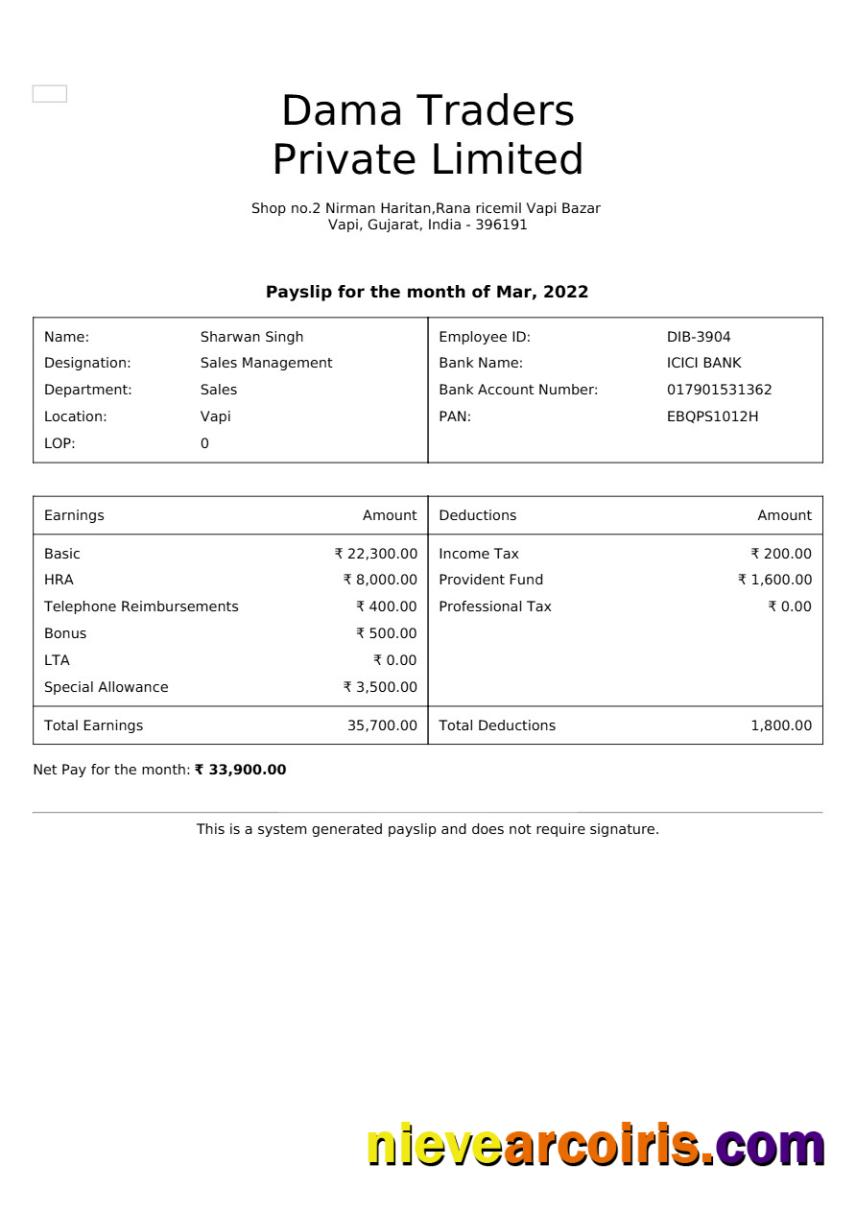 Dama Traders payslip